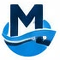 Mevagumrukleme logo